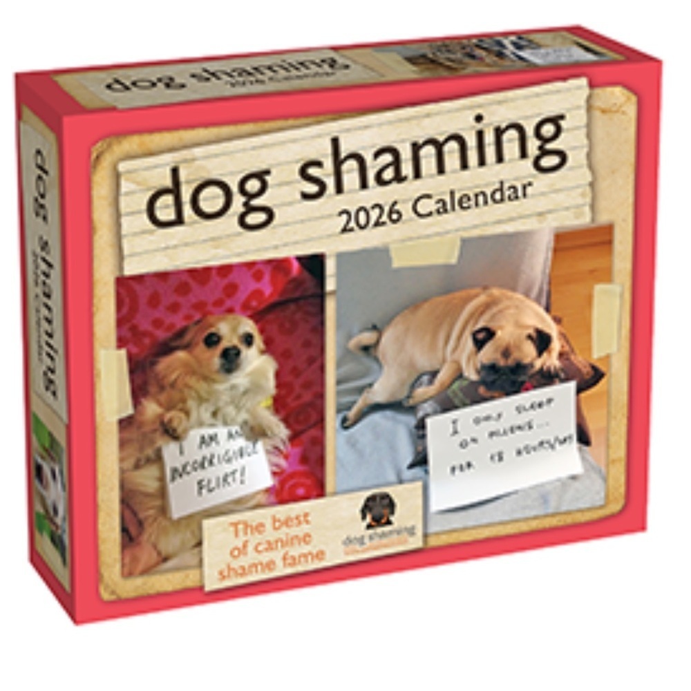 Dog Shaming 2026 Day-to-Day Calendar new!